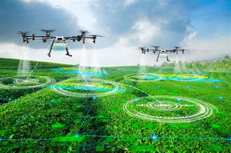 precision agriculture  hype  drone technology bearing tips