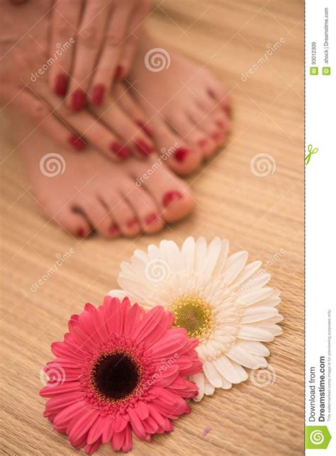 female feet  hands  spa salon stock image image  flower clean