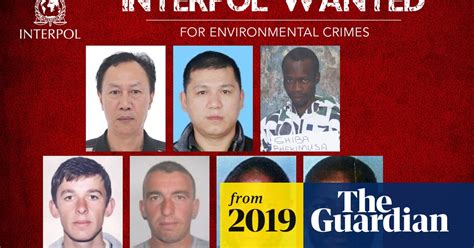 Interpol Makes Public Appeal In Hunt For Most Wanted Eco Criminals