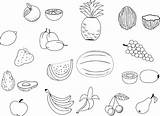 Coloring Albanysinsanity Obst Ausmalen Vegetables Ausdrucken sketch template