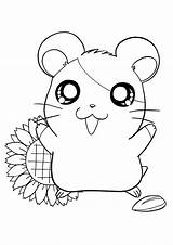 Hamtaro Coloring Cartoons Pages Printable Drawing sketch template
