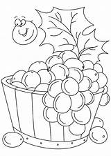 Grapes Coloring Pages Grape Printable Bucket Parentune Worksheets Books sketch template