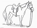Coloring Pages Horses Printable Ages Big Print sketch template