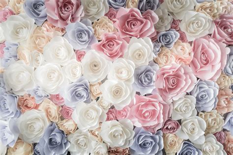 beautiful floral background hd picture free download