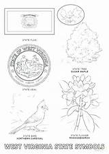 Symbols Coloring Virginia Pages American State West Silhouette Philippine Flag Mary Virgin Getcolorings Getdrawings Color Colorings Florida sketch template