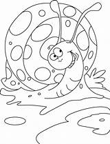 Coloring Pages Snail Kids Printable Spirited High Print Colouring Animal Color Sheets sketch template