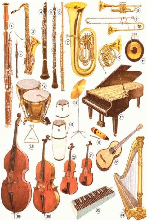 musikinstrumente musik musikinstrumente instrumente
