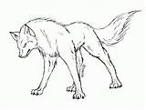 Wolf Drawing Outline Growling Wolves Drawings Coloring Realistic Anime Gif Sketch Pages Angry Sketches Coloringhome Dog Animal Interesting Animals Getdrawings sketch template