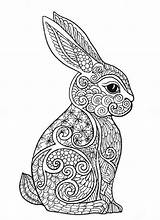 Mandala Coloriage Rabbit Lapin Enregistrée Coloringareas sketch template