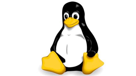linux  launches
