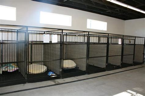 pin  maddy hall  dog related indoor dog kennel indoor dog commercial dog kennel ideas