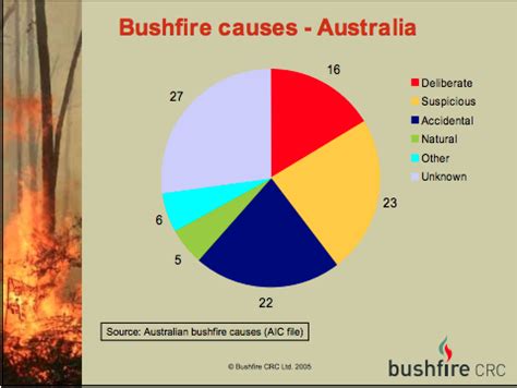 bush fires natural disasters