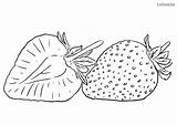 Obst Erdbeere Malvorlage Querschnitt Ausmalbilder Ausmalbild Früchte Malvorlagen Ausdrucken Regenbogen Strawberries sketch template