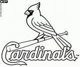 Cardinals Coloring Louis St Pages Logo Saint Baseball Logos Mlb Printable Stl Team Cardinal Oncoloring Sheets Missouri Division Loga Los sketch template