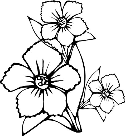 flower coloring pages getcoloringpagescom