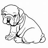 Puppy Bulldog Fat Coloring Printable Pages Dog Kids Animals Categories sketch template