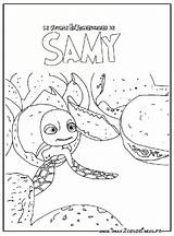 Samy Tartaruga Tortue Sammy Extraordinaire Colorindo Colorier sketch template