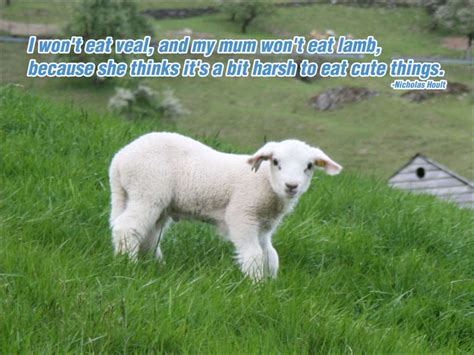 i won t eat veal and my mum won t eat lamb because she