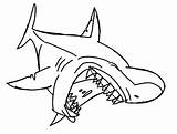 Shark Coloring Pages Jaws Color School Print Printable Getcolorings sketch template