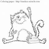 Splat Cat Coloring Pages Printable Pete Color Chat Le Books Coloriage Clipart Faces School Drawing Para Christmas Click Colorear Merry sketch template