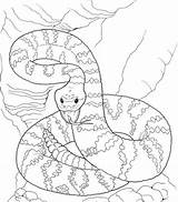 Rattlesnake Cascabel Ausmalbild Colorear Klapperschlange Schlangen Gefaehrliche Snakes Colouring Supercoloring Serpiente Anaconda Sheet Schlange Serpientes Dangerous Kinderzimmer Malbuch Farben Zeichnen sketch template