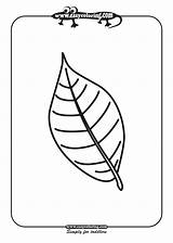 Leaf Leafs Two Simple Coloring Pages Print Easy sketch template