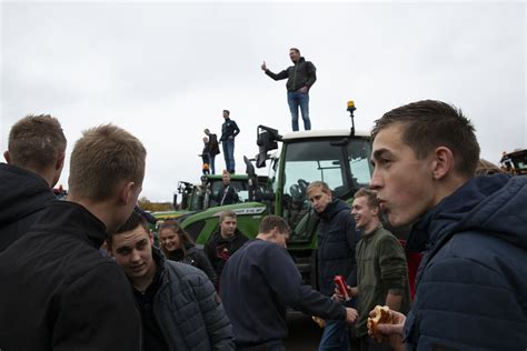 dutch farmers protest efforts  cut emissions reduce herds ap news