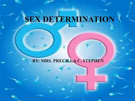 Sex Determination In Humans Ppt