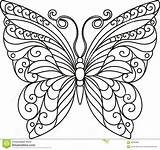 Butterfly Outline Drawing Coloring Template Pages Paper Patterns Beautiful Quilling Designs Dreamstime Whimsical Stock Mandala Visit Sketch Getdrawings sketch template