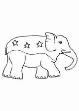Elefant Zirkus Kleiner Elefanten Ausmalbild Ausdrucken Ausmalen Malvorlagen sketch template