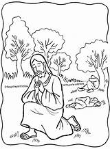 Praying Gethsemane Prays Misterios Tempted Dolorosos Crucificado Azotado Tutor Solve Easter Oraciones Coloringhome sketch template
