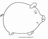 Sparschwein Ausmalbilder Schweine Ausmalbild Ausmalen Ausdrucken Vorlage Wildschwein Bild sketch template