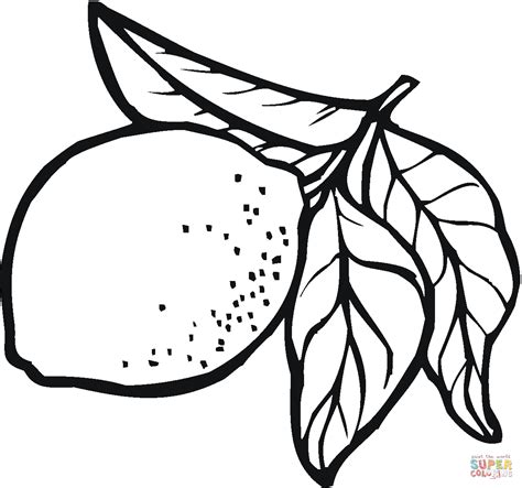 lemon  coloring page  printable coloring pages