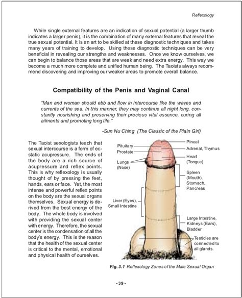 sexual positions for a small penis adult videos