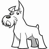 Schnauzer Coloring Perros Snauzer Ausmalen Tatuajes Escoceses Terriers Tiernos Ilustración Cachorro Salvo Grooming Hunde sketch template