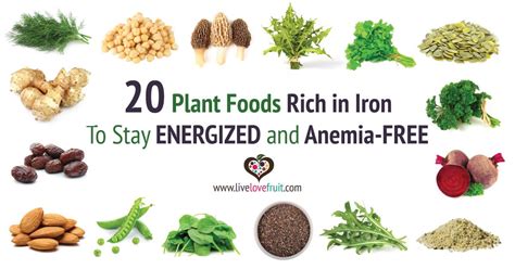 common foods   rich  iron proquestyamahaweb