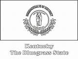 Kentucky Netstate sketch template