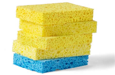 start   sponge