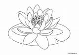 Lily Water Coloring Pad Lilies Clipart Flower Drawing Pages Drawings Lotus Flowers Kids Line Pond Pads Color Nénuphar Printable Pa sketch template