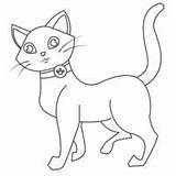 Cat Outline Vector Coloring Bisma Click sketch template