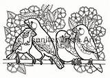 Finches sketch template