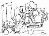 Harvest Colouring Printable Galery sketch template