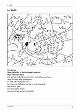 Ausmalbilder Grundschule Klasse Lese Unterrichtsmaterial Satze sketch template