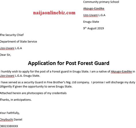 nigeria sample application letter  job vacancy   cover letter