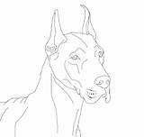Coloring Great Dane Pages Dog Comments sketch template