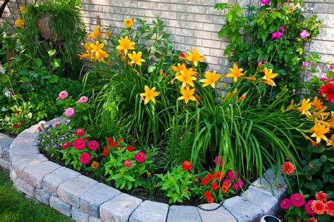 spring  time  plan  perfect flower bed team