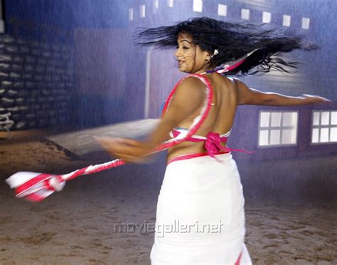 picture 414527 actress priyamani hot saree photos in tikka movie new movie posters