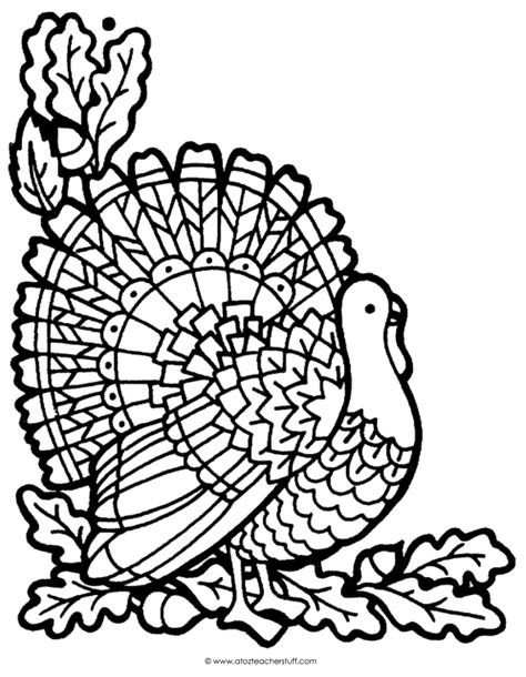 turkey coloring page    teacher stuff printable pages  worksheets