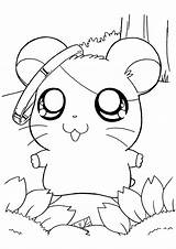 Coloring Hamtaro Printable Colouring Pages Visit Ears Rings Kids sketch template