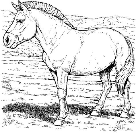 fun horse coloring pages   kids printable pony coloring pages